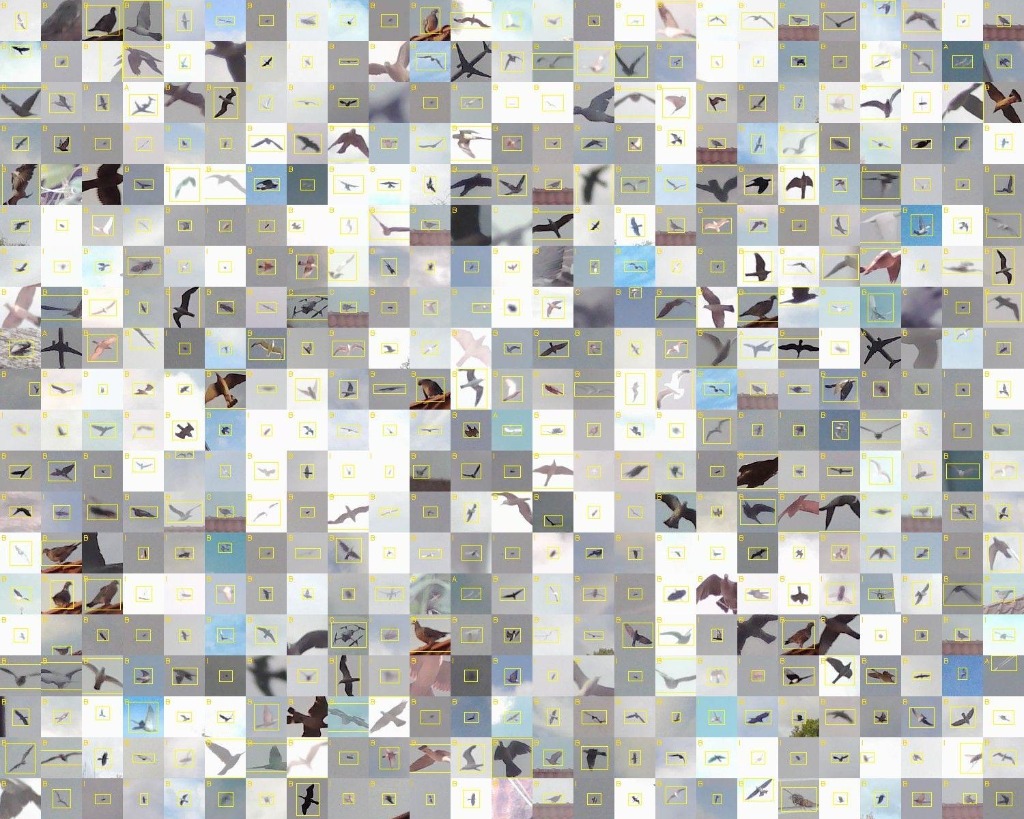 AI Object Recognition Grid
